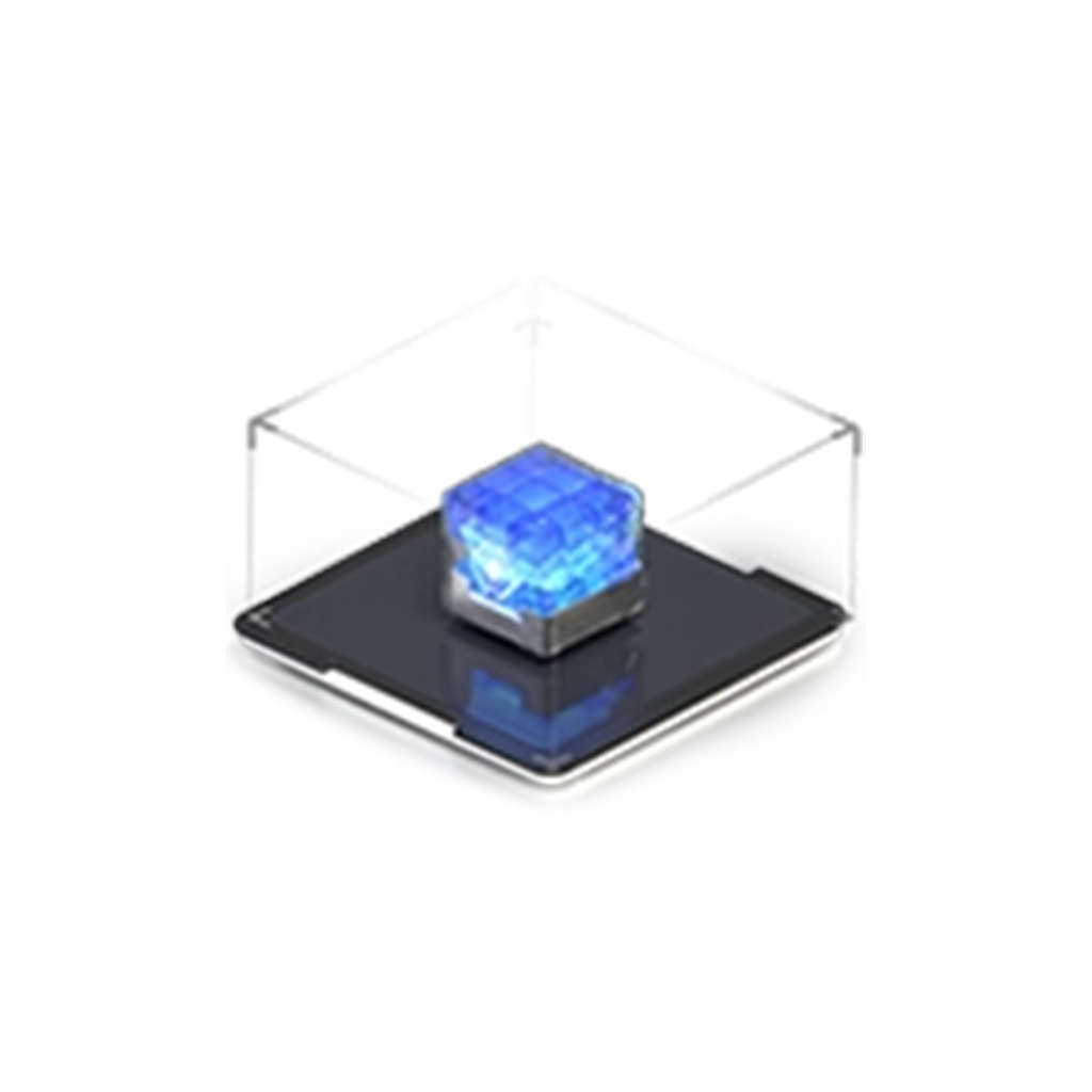 6 BitGold