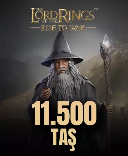 11.500 Değerli Taş