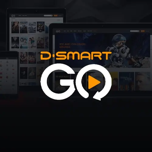 Dsmart