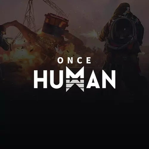 Once Human